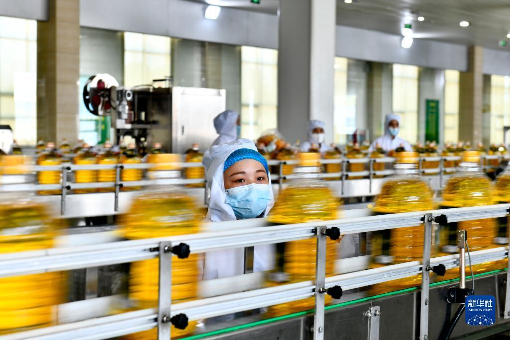 官方永利开户送体验金